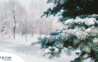 A tree and road are covered in snow representing winter and the senior safety that should be prioritized during the season.